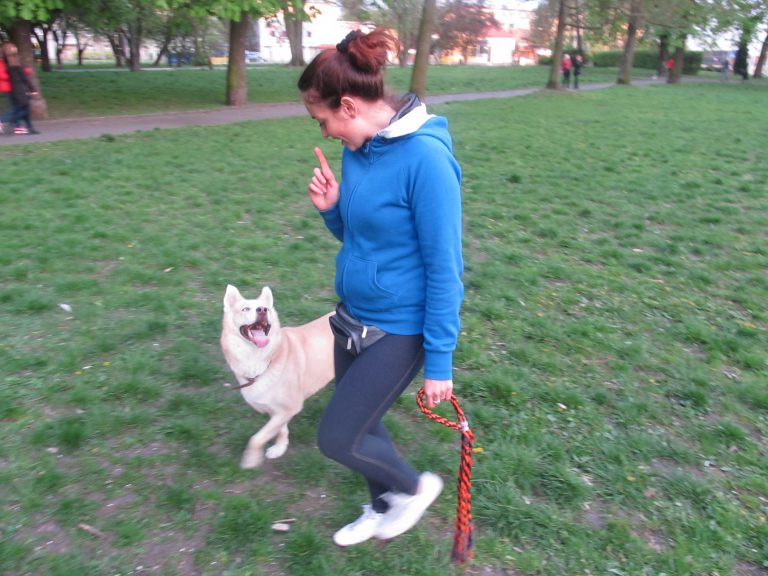 Trening z psem na świeżym powietrzu — Arka Zoo